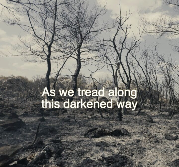 “The echoes warned, but we turned our face / Our…