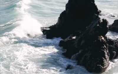 “Dive into the currents… Let the waves carry you…