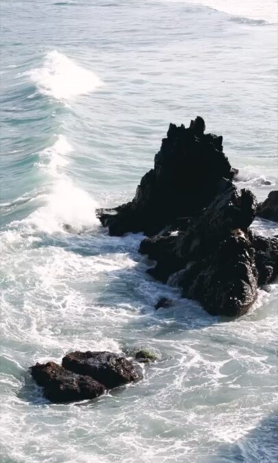 “Dive into the currents… Let the waves carry you…