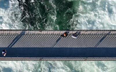 “Still I walk through the ashes, where the wildfir…