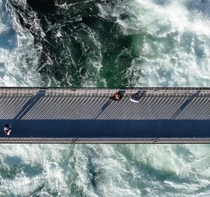 “Still I walk through the ashes, where the wildfir…