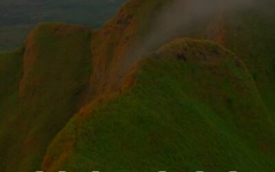 “Shining bright, I’ll always be, living life authe…